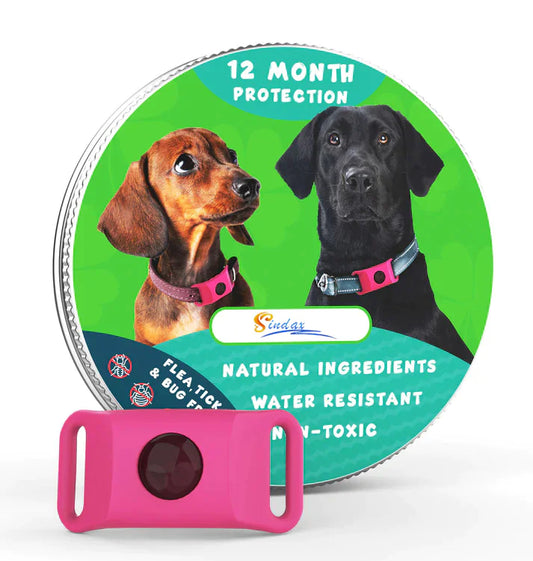 Pest Guard Flea & Tick Prevention Collar