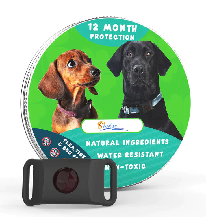 Pest Guard Flea & Tick Prevention Collar