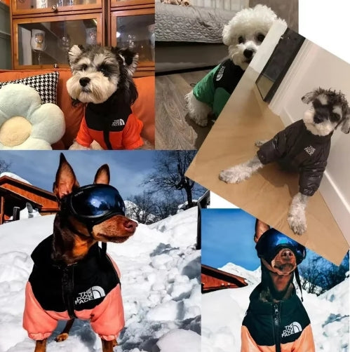 The Dog Fans Winter Dog Jacket