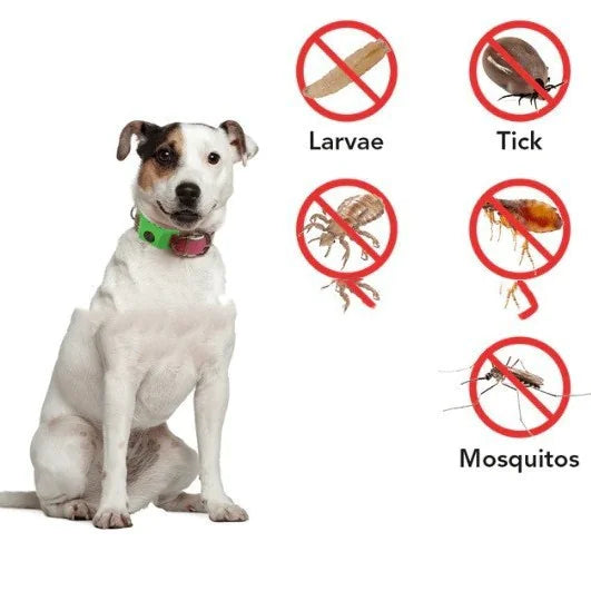 Pest Guard Flea & Tick Prevention Collar
