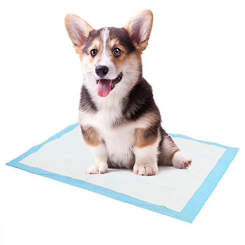 Super Absorbent Pet Diaper Dog Training Pee Pads