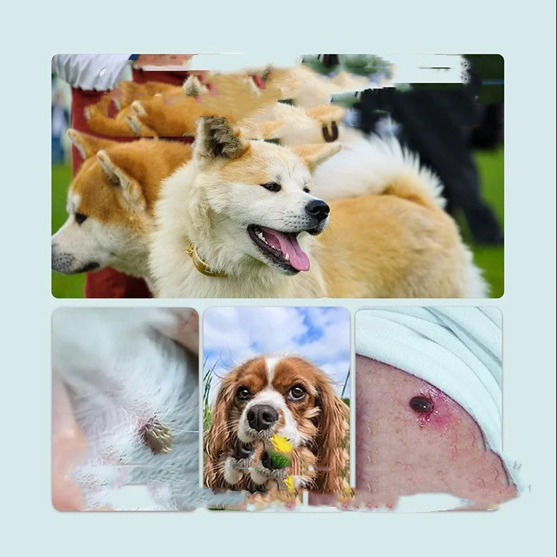 Pest Guard Flea & Tick Prevention Collar