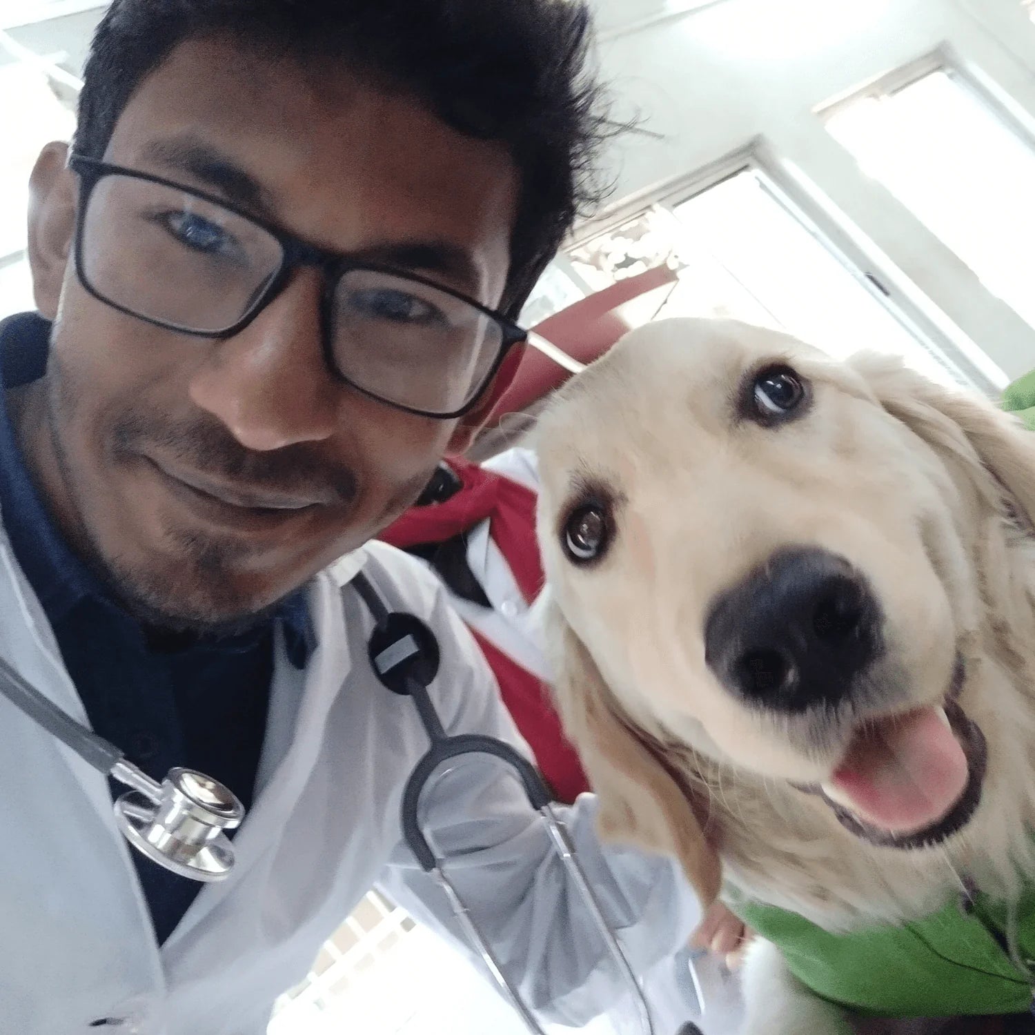 Amanda R., Labrador Owner
