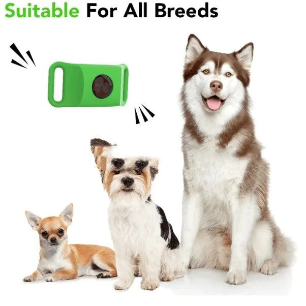 Pest Guard Flea & Tick Prevention Collar