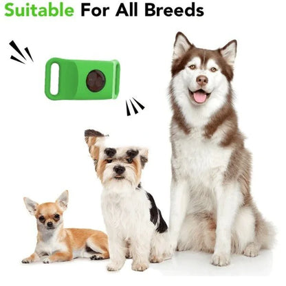 Pest Guard Flea & Tick Prevention Collar