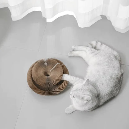 Accordion Style Cat Scratching Board Toy